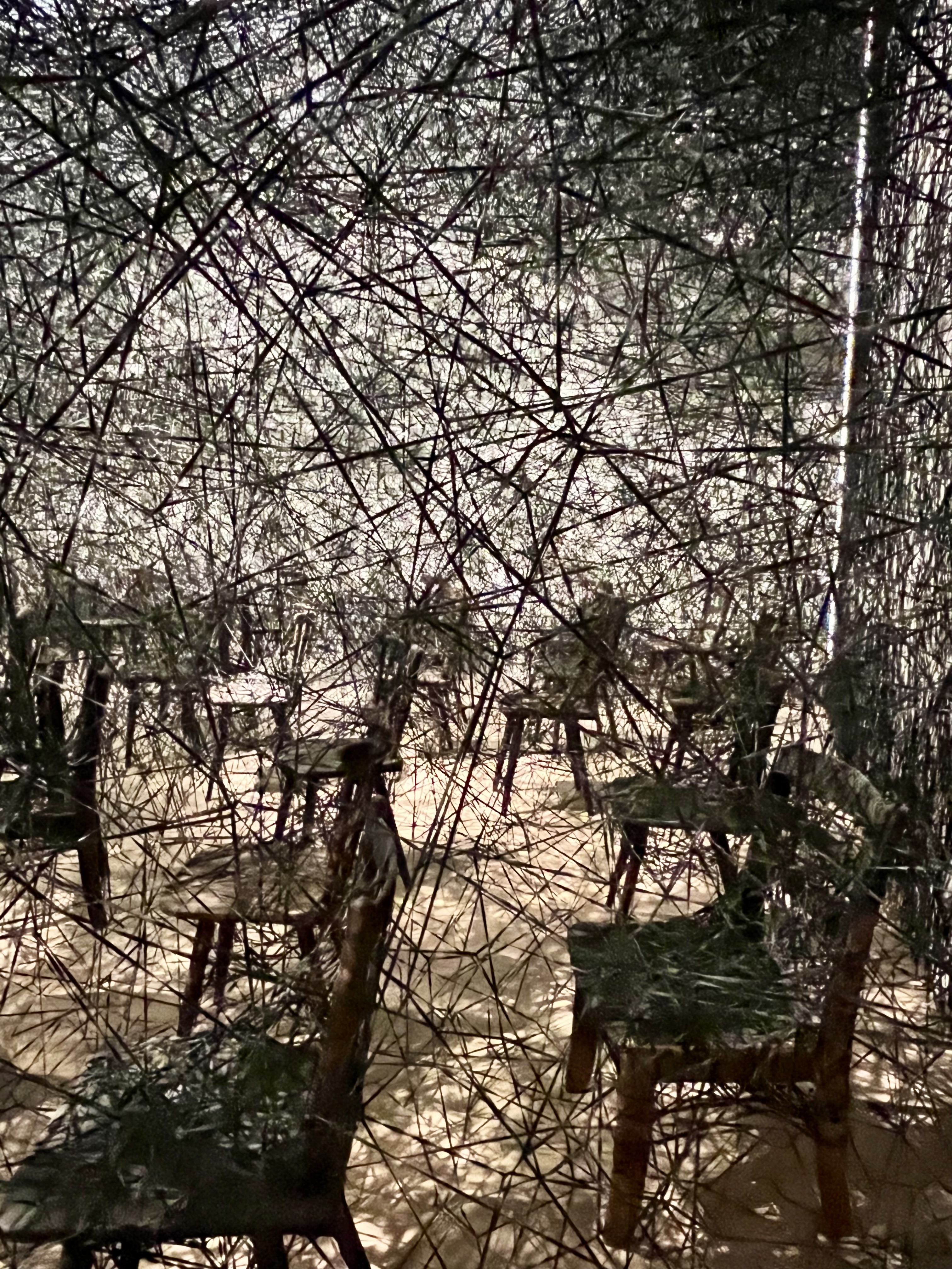 IMG_0332.jpeg